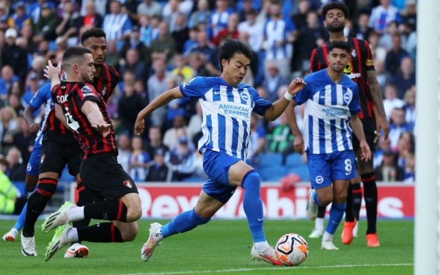 Dự đoán Brighton - Bournemouth: Chim mòng biển bay cao.