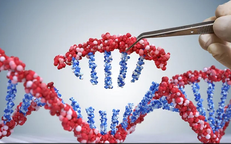 Các nhà khoa học đã giải mã bộ gen sinh vật bằng công nghệ mới ra sao